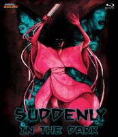 SUDDENLY IN THE DARK 