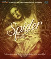 SPIDER (Limited Edition)